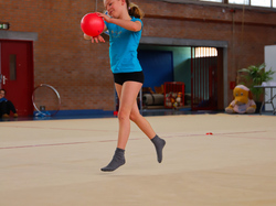 Illustration de la galerie